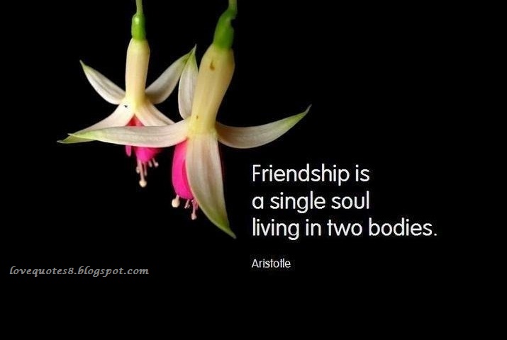 friendship-quotes-wallpapers.jpg