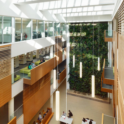 centennial-college-library-green-wall-globe-and-mail-2x-400x400